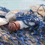 w 0, tags: fischer - unsplash
